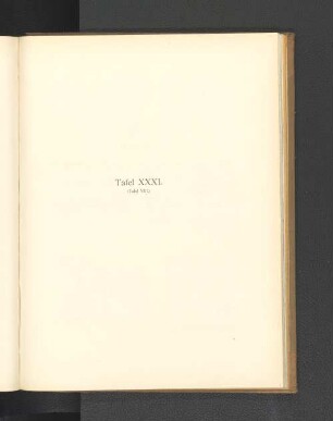 Tafel XXXI. (Tafel VIII.)