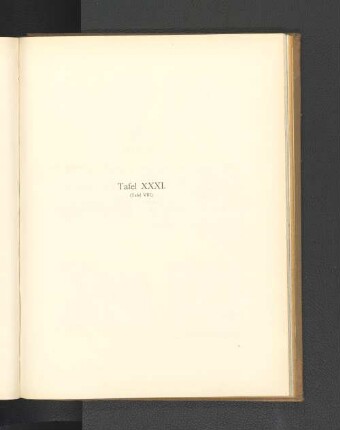 Tafel XXXI. (Tafel VIII.)