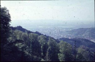 Blick auf Freiburg
