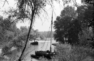 Leimersheim: Boote im Rheinarm