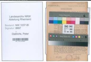Entnazifizierung Peter Diederichs , geb. 16.09.1884 (Fabrikant)