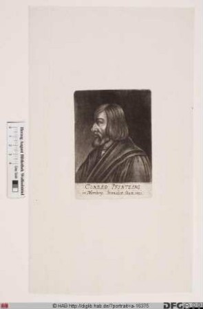 Bildnis Conrad Pfinzing (IV)