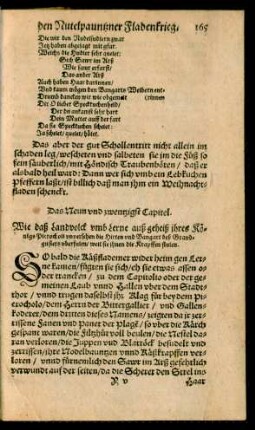 Das Neun und zwentzigst Capitel.