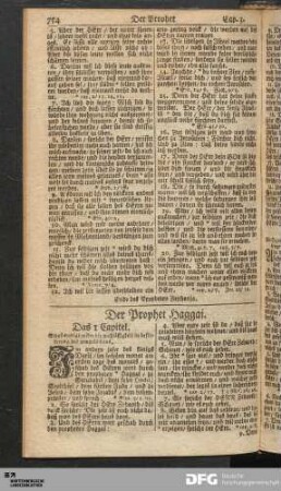 Der Prophet Haggai.
