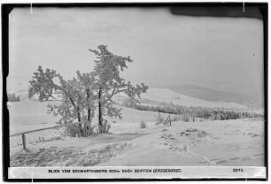 Blick vom Schwartenberg (800 Meter) nach Seiffen