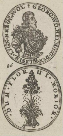 Bildnis des Georgius Wilhelmus von Liegnitz