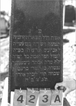 Grabstein 423 (Index: 99786386) Maße HxBxT: 221x48x47 cm Besonderheit: kulturhistorisch wertvoll / hist.-wiss. Gründe (Gemeindestellung): Grabstein 423A