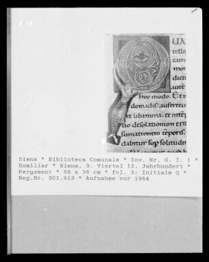 Homiliar — Initiale Q, Folio fol. 3