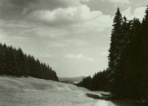 Westerzgebirge, Tal der Kleinen Bockau, Seifengelände im Auersberger Grund, Blick talabwärts