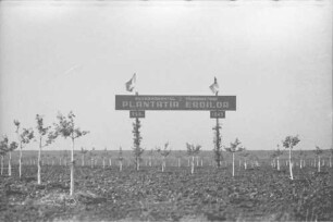 Odessa, Dalnik [Ukraine]: Obstbaumpflanzung, Plantatia Eroilor, mit Schild, näher