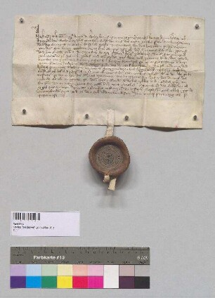 Oswald Toerringer, Vitztum Herzog Heinrichs [XVI.] von Bayern, bestätigt der Priorin Dorothea und dem Konvent des Klosters [Nieder-]Viehbach das Privileg Herzog Friedrichs [von Bayern], das ihnen den dritten Teil des Zehnten aus den Weinbergen Herzog Heinrichs [XVI.] zu Landshut verlieh.;. S: Oswald Toerringer, Vitztum Herzog Heinrichs [XVI.] von Bayern