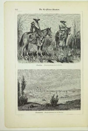 Gauchos