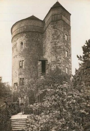 Johannisturm (Coselturm) : Blick von Nordwesten