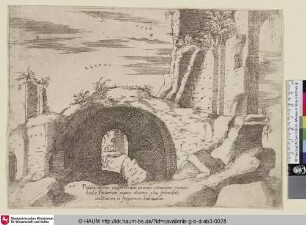 [The ruins of the Palatine hill; Ruinen des Palatin Hügels]