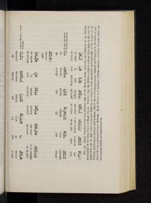 Fig. 51.