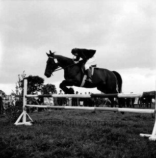 Sportveranstaltung: Pferdeleistungsschau: Reit- und Fahrverein Trittau und Umgebung von 1922 e.V.: Jubiläumsschau: Jagdspringen: Pferd mit Reiter beim Sprung über Hindernis