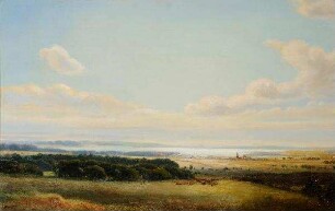 Landschaft am Selenter See