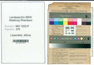 Entnazifizierung Alfons Liesenfeld , geb. 15.01.1887 (Verw.Inspektor)