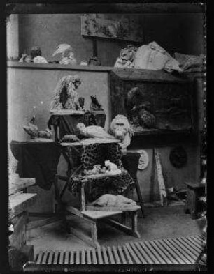 Ohne Titel (Im Atelier von August Gaul: Präsentation verschiedener Plastiken)