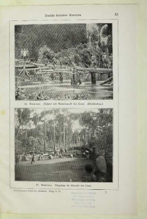 47. Kamerun. Wegebau im Urwald bei Lomi
