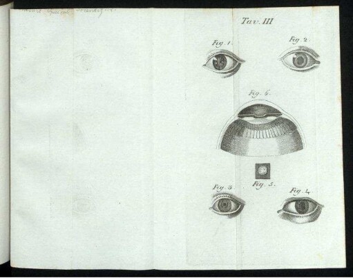 Tav. III. Fig. 1. [bis] Fig. 6.