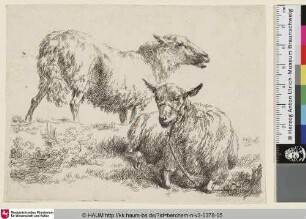 [Zwei Schafe; The Set of the Sheep, 5; Deux moutons]