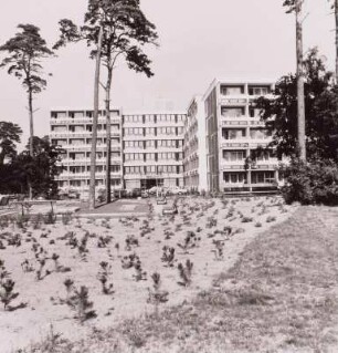 Binz