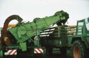 Fotografie: Erntetechnik, Zuckerrübe, Zuckerrübenköpfrodebunker gezogen, Blattbergung, Transport, Transportgerät