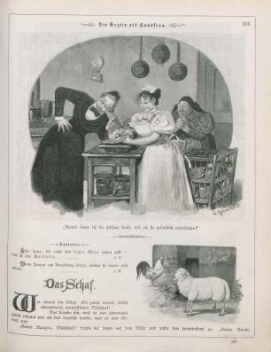 "Die Ärztin als Hausfrau" "Das Schaf"