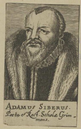Bildnis des Adamus Siberus