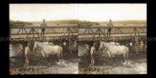 Soldaten mit Pferd an der Putnabrücke