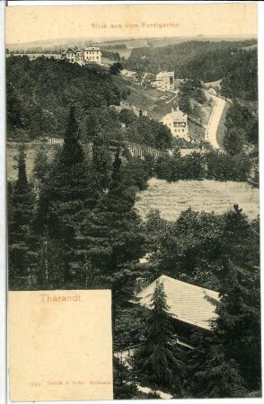 Tharandt. Blick aus dem Forstgarten