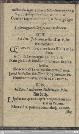 XLIV. Ad Dn. Andream Dibbenum