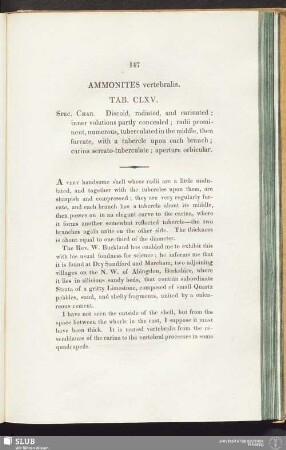 Ammonites vertebralis. Tab. CLXV
