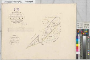 Marbeck (Borken), Gemeinheit Wirthe, Wirther Feld, Lage, Tushaus Heide, Bodarbsche Heide, Teilung der Butenwirther Mark, Bl.10 Brouillonkarte Flur I Burlo