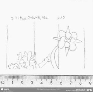 W-Dl-523 Löwe / Blüte