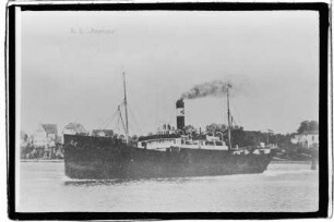 Rostock (1912), Cords