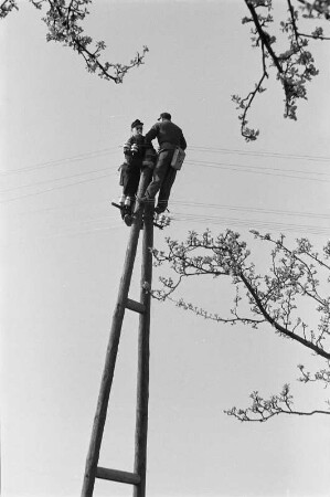 Energieversorgung. Arbeiten an einer Oberleitung. Ansicht mit zwei Arbeitern auf einem Mast