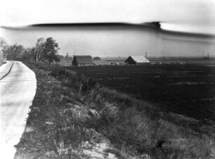 Sacramento Flussdeich und Spargelfelder : Landschaft mit Straße auf einem Deich, Farmergebäuden und angrenzenden Spargelfeldern