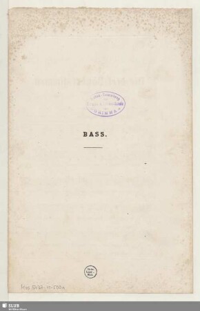 Bass