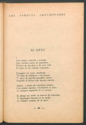El gato