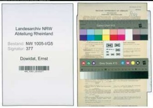 Entnazifizierung Ernst Dowidat , geb. 02.06.1906 (Bergmann)