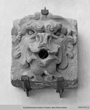 Wasserspeier eines Brunnens in Form einer Löwenmaske