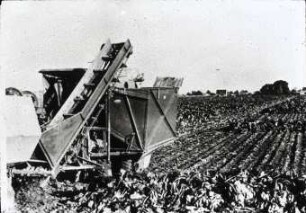 Seitlich am Schlepper angebrachter Rübenbunker