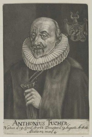 Bildnis des Anthonius Tucher