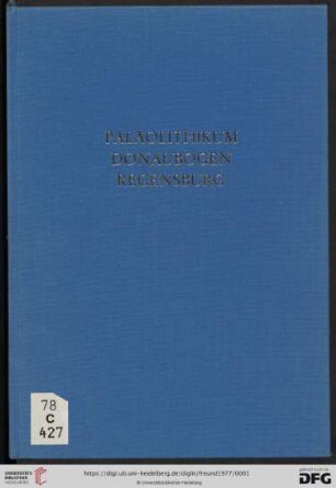 Band 32: Materialhefte zur bayerischen Vorgeschichte: Das Paläolithikum im Donaubogen südlich Regensburg
