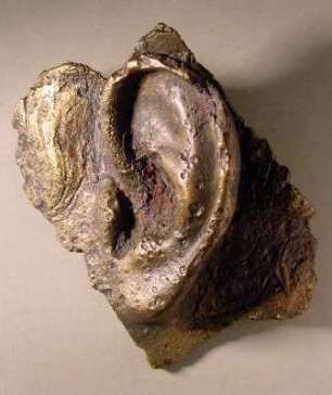 Fragment einer lebensgroßen Porträtstatue: linkes Ohr (Fragment einer Bronzestatue)