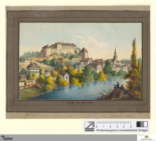 Tübingen vom oberen Neckar