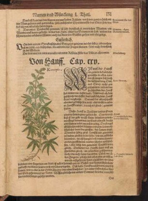 Von Hanff, Cap. CXV