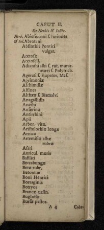 Caput II. De Herbis & Foliis.